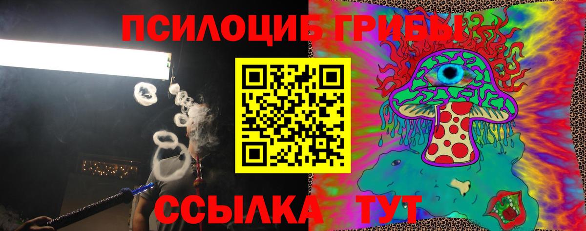 Псилоцибиновые грибы Psilocybe  Вход с VPN  Анжеро-Судженск 