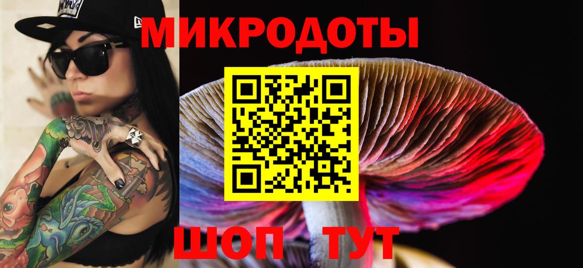 Псилоцибиновые грибы мухоморы Анжеро-Судженск